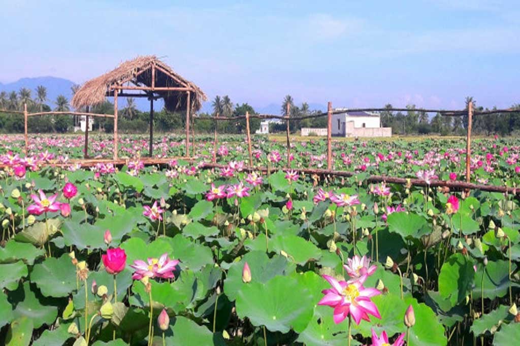 Ảnh đại diện